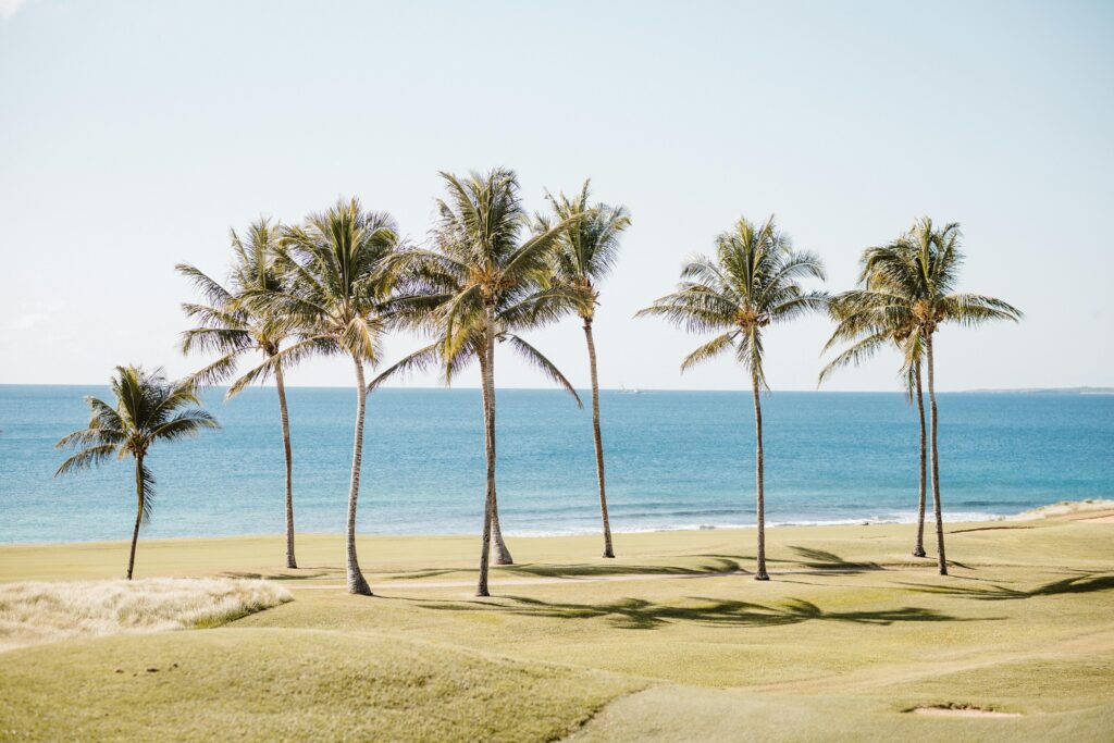 Palm trees on the Caribbean coast symbolizing taxation in the Dominican Republic, where the territorial tax system benefits expatriates and investors
